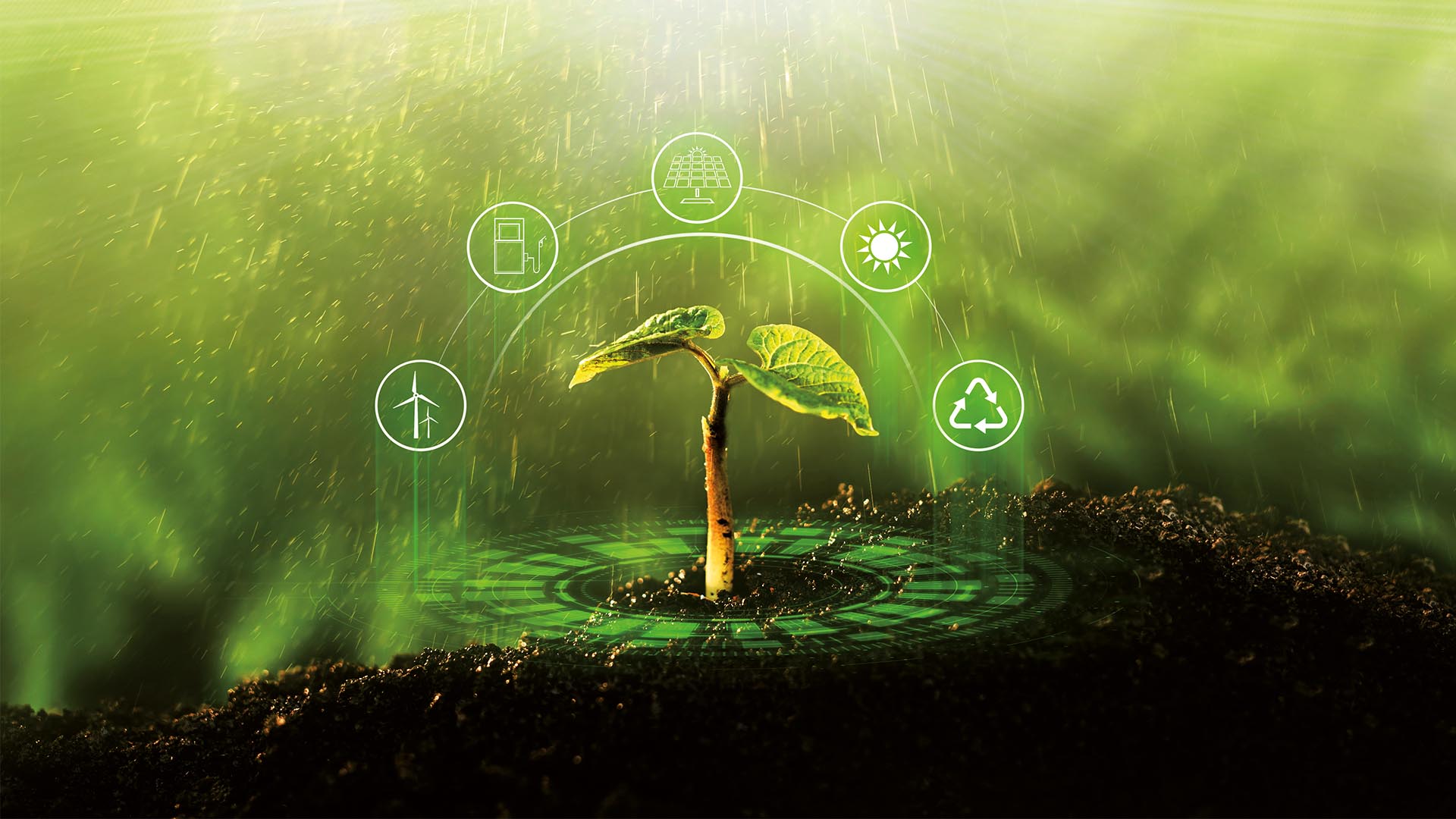 Tarımda Sürdürülebilirlik: Organik Tarıma Geçiş